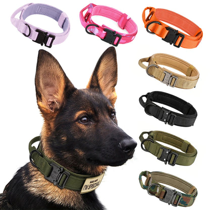 Dog Training Collar Adjustable Tactical W/ Leash