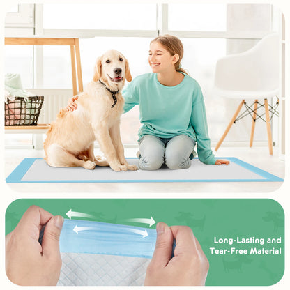 150 Count 22" x 22" Absorbency Disposable Pee Pads