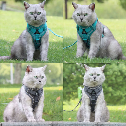 Harness and Leash for Small Dog