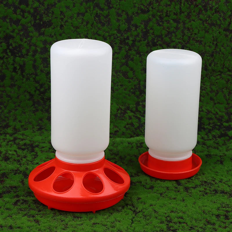 Poultry Pigeon Thickened Feeder and Water Dispense