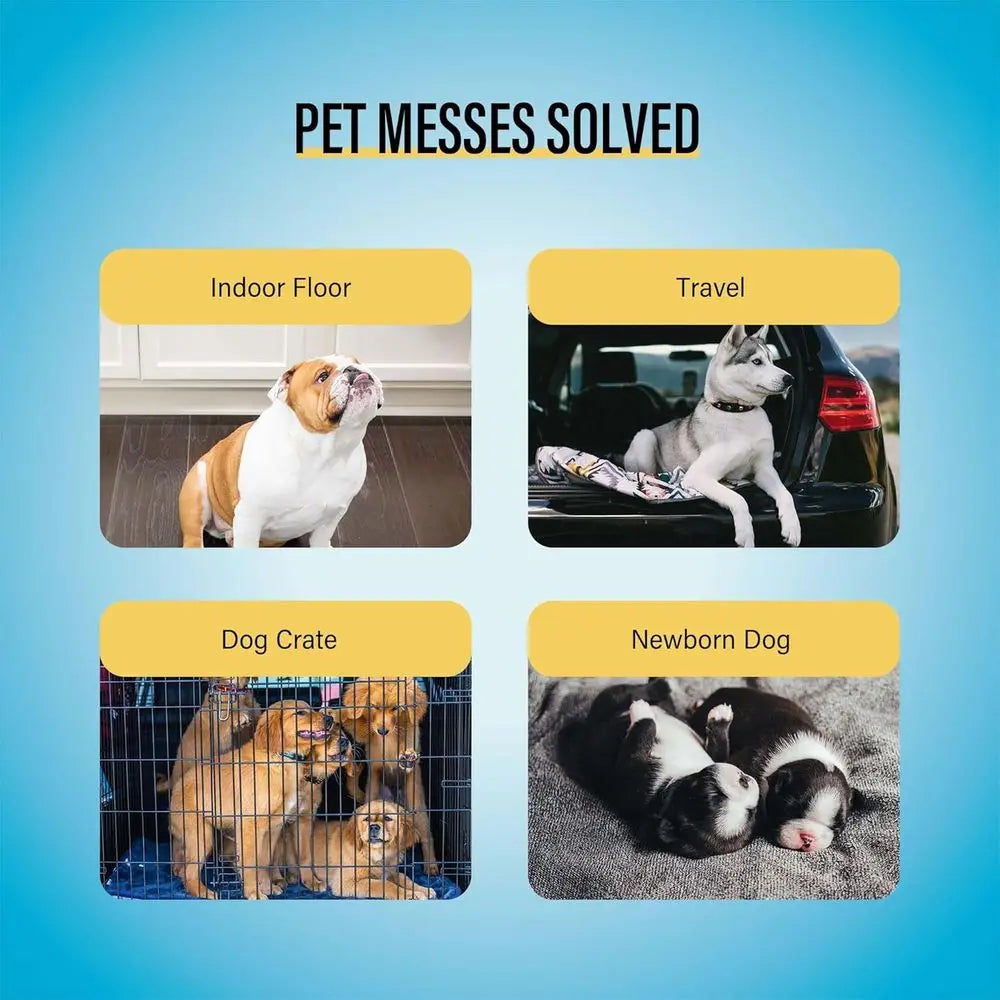 Large-Size Dog Training Pads (30 Count, L 26x30 inch)