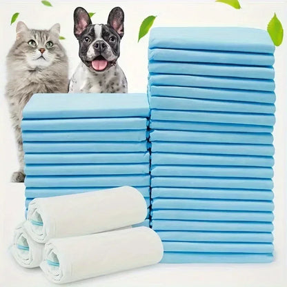 Absorbent Disposable Dog Diapers & Training Pads