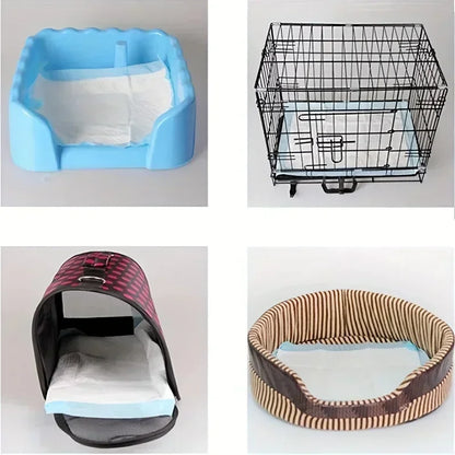 Absorbent Disposable Dog Diapers & Training Pads