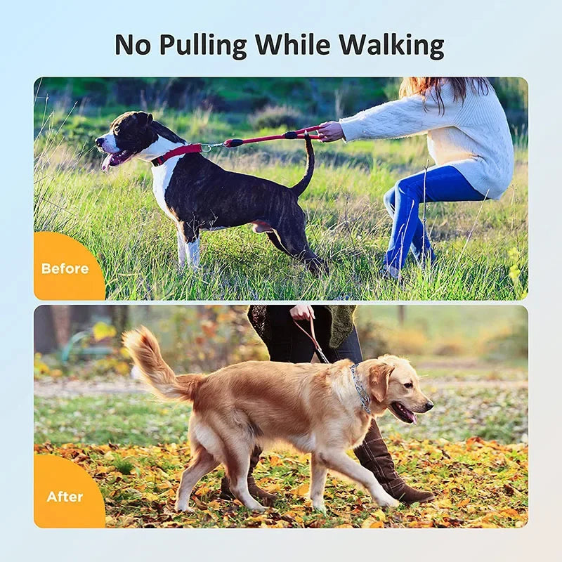 Collar Pinch Dog Training With Comfort Rubber Tips