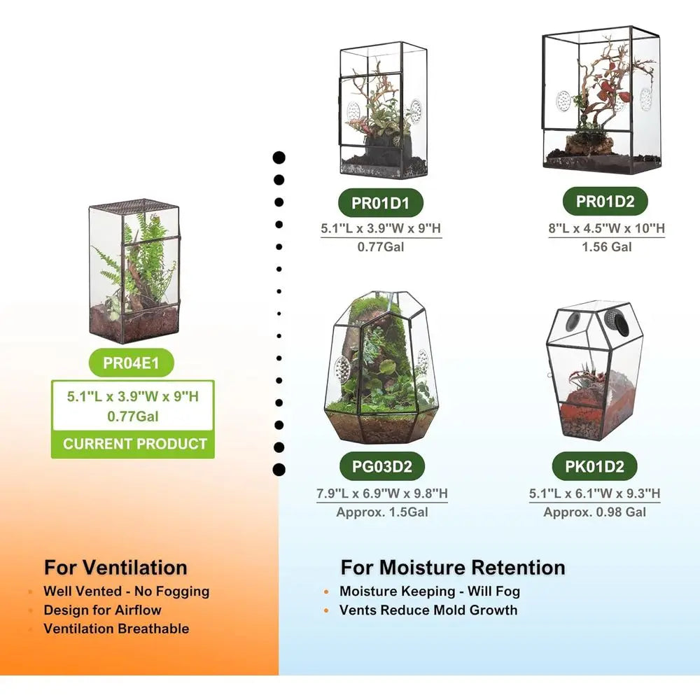 Black Glass Terrarium with Door and Mesh