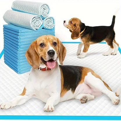Absorbent Disposable Dog Diapers & Training Pads