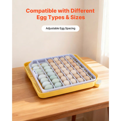Egg Incubator with LED Candler Temperature Display