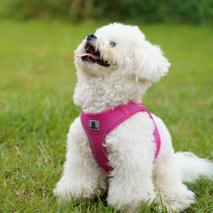 Dog Harness Leash Set for Small Medium Dog