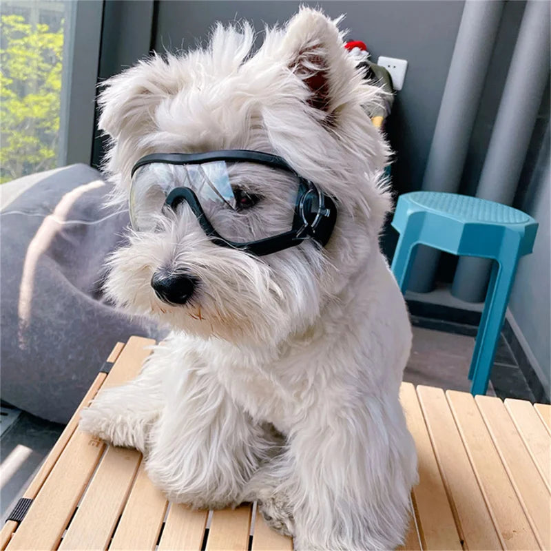 Dog Goggles for Small Breed Dog Sunglasses Windproof