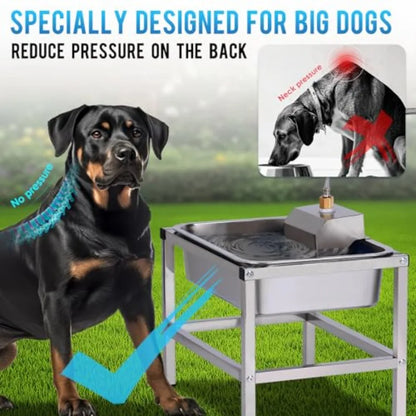 3Gal Automatic Dog Water Bowl Dispenser