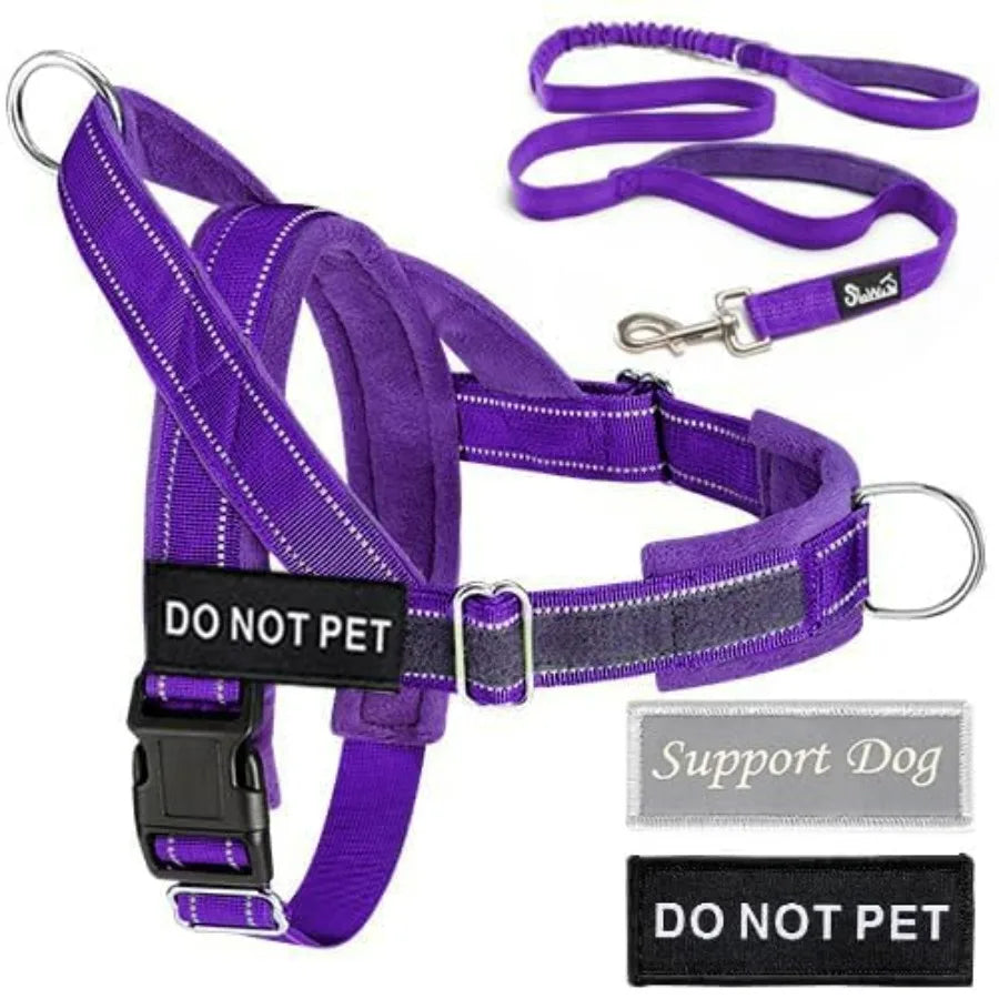 No Pull Dog Harness and Leash Set