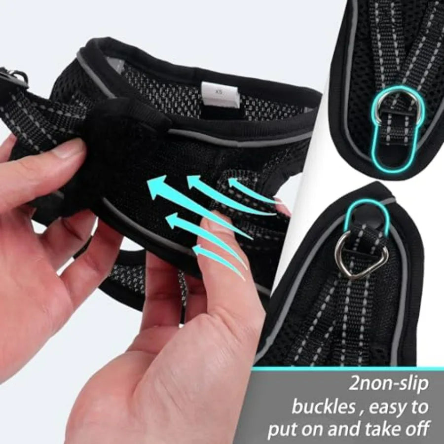 Dog Harness for Small Dogs and Leash Set,