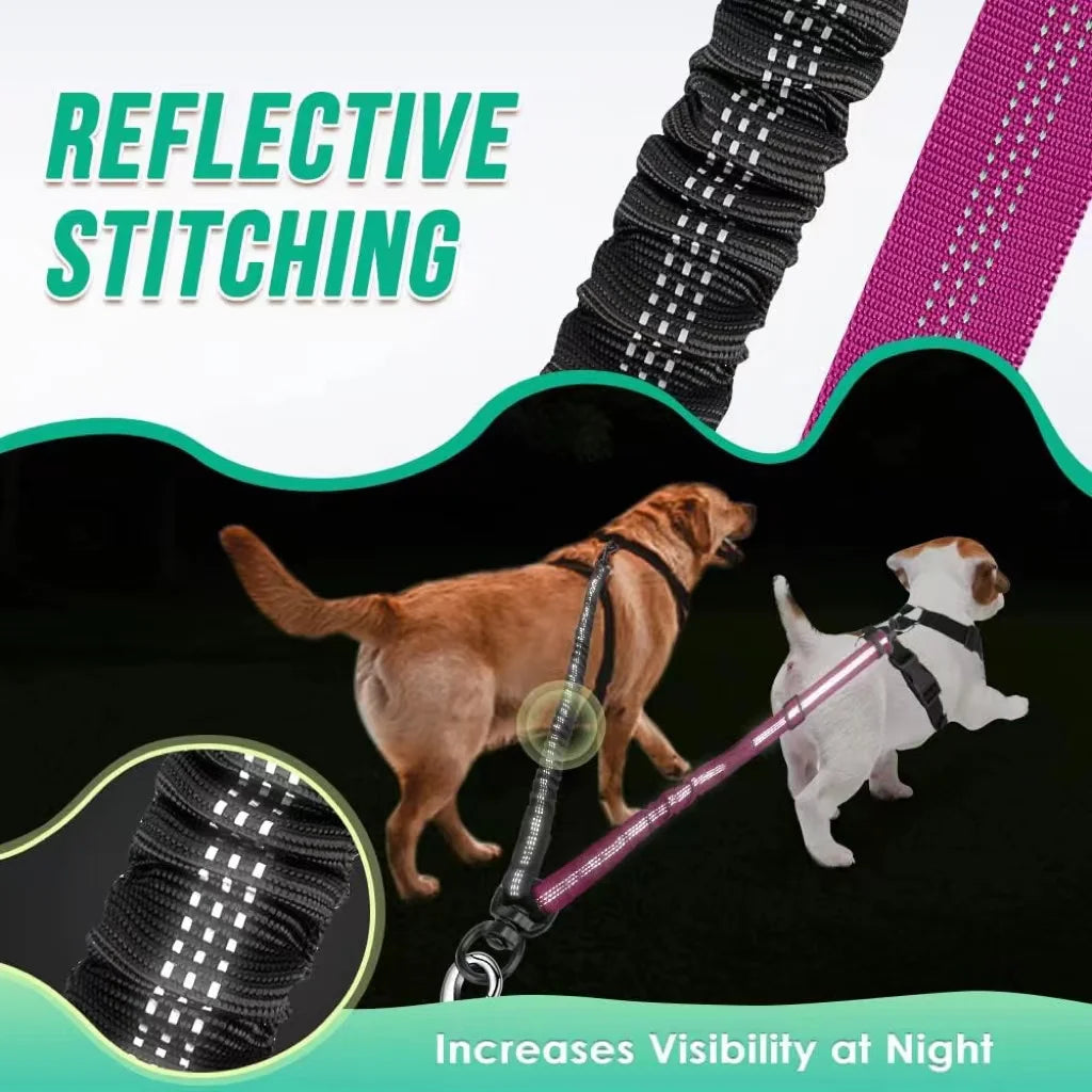 1.6ft Long Dual Dog Leash Attachment - Double Leashes