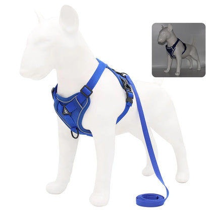 Harness and Leash for Small Dog
