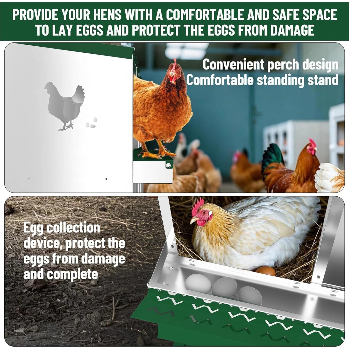 Chicken Nesting Boxes Heavy-Duty Galvanized Steel