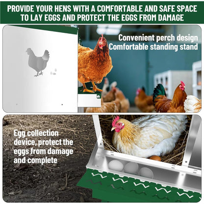 Chicken Nesting Boxes Heavy-Duty Galvanized Steel