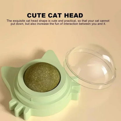 Lickable Chew Toy Catnip Balls for Cats
