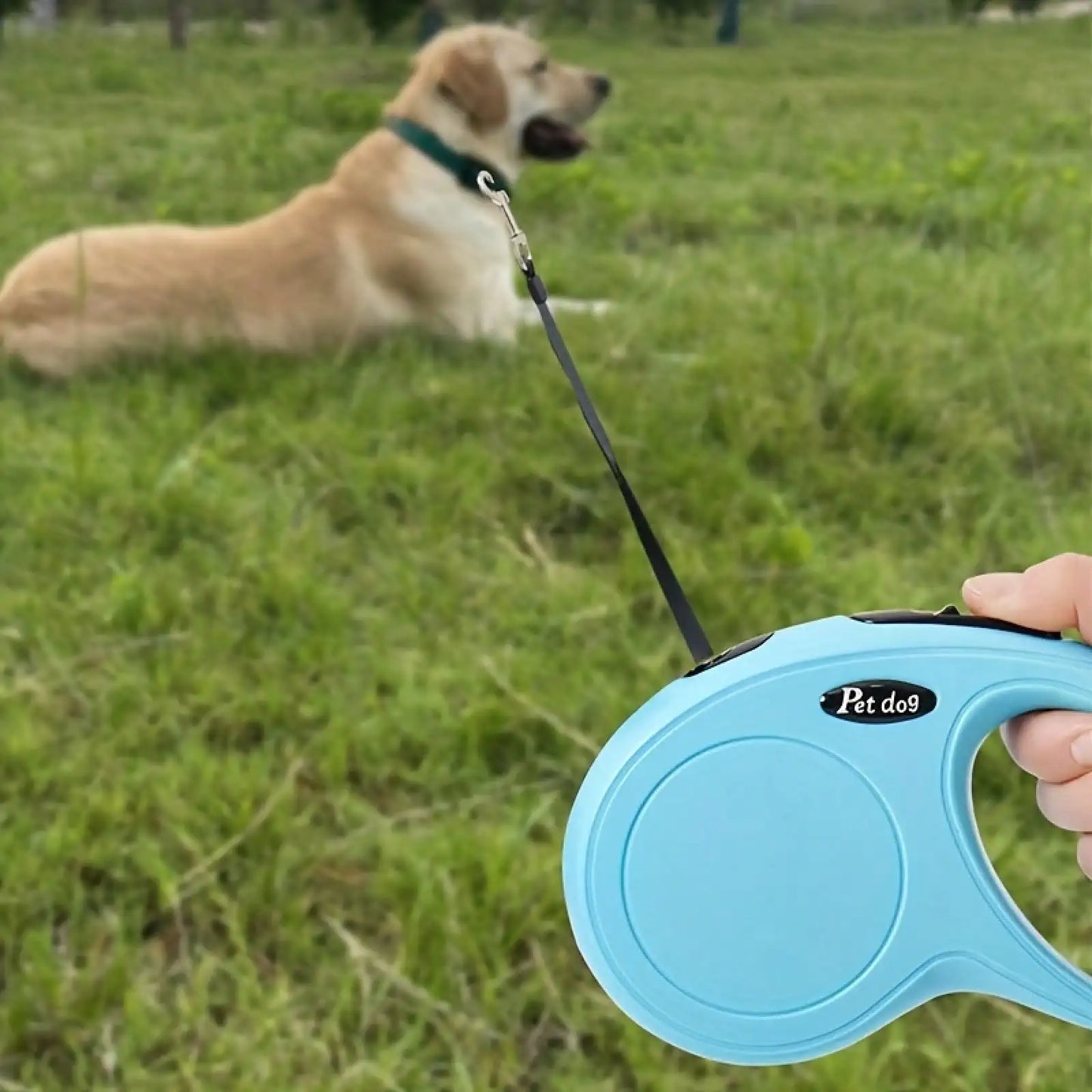 Automatic Retractable Pet Leash 3m Length