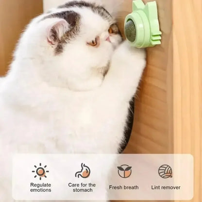 Lickable Chew Toy Catnip Balls for Cats