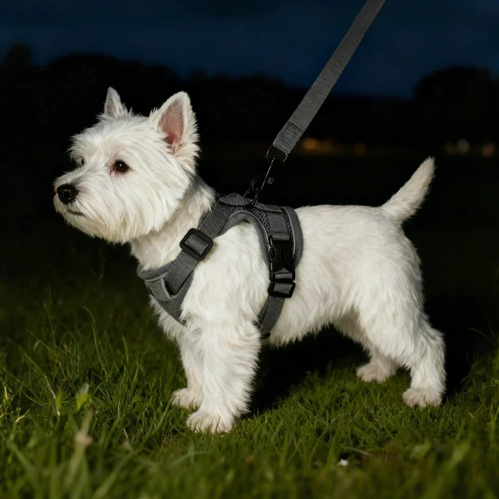 Pet Harness and Leash Set Reflective Walking Puppy Vest