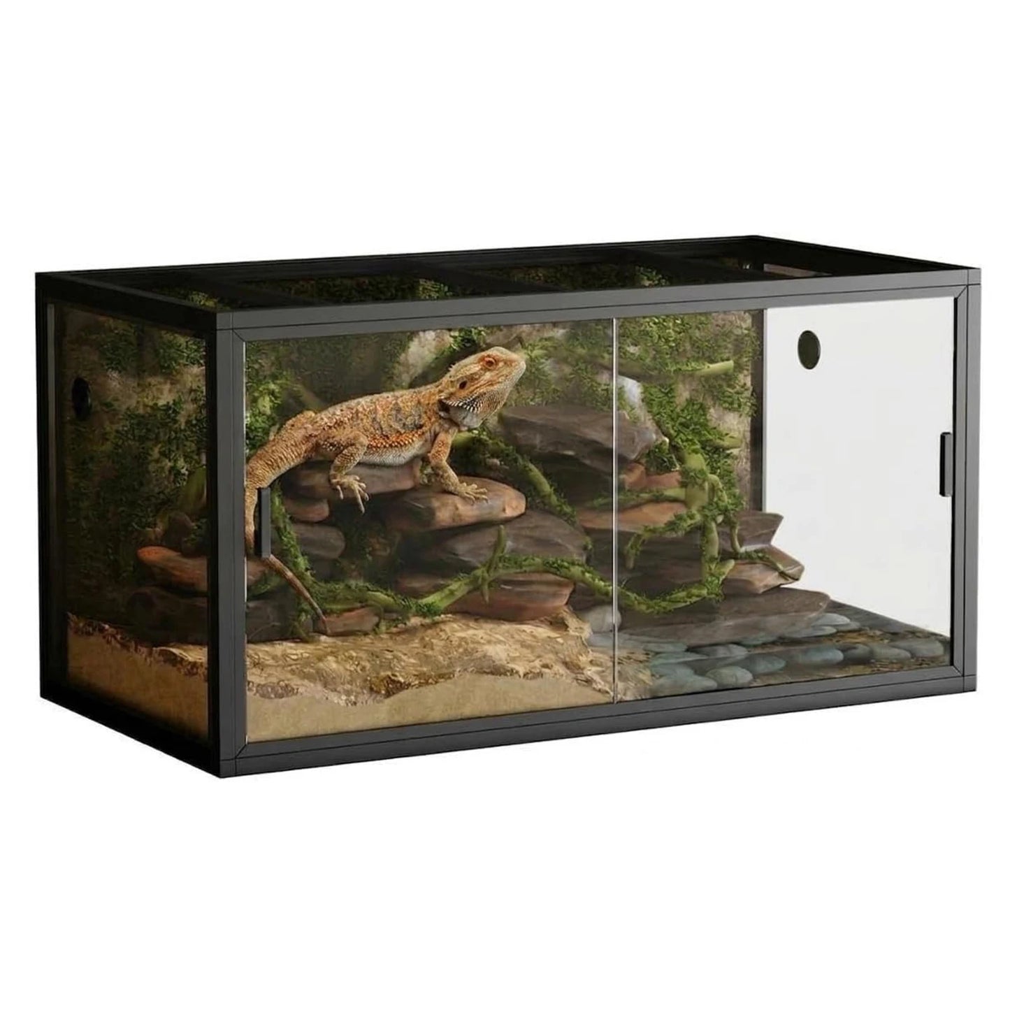 120 Gallon Lizard Tank Terrarium