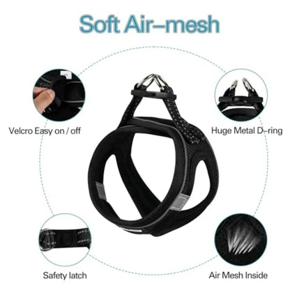 Dog Harness for Small Dogs and Leash Set,