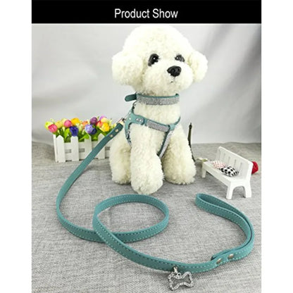 Dog Collar and Harness and Lead Sets
