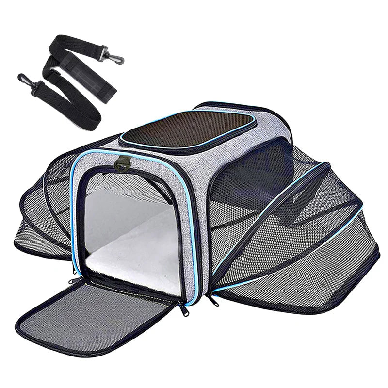 Airline-Approved Expandable Pet Carrier for Small Dogs & Cats