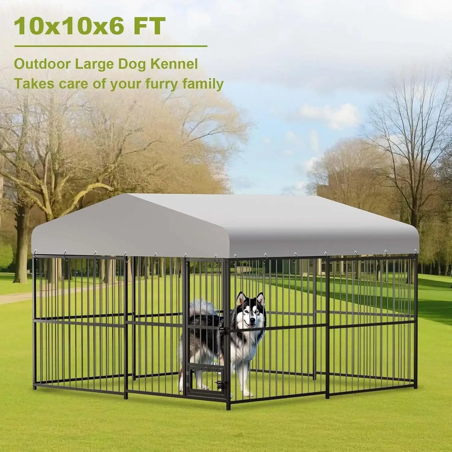 Large Dog Kennel Outside,10x10x6 FT