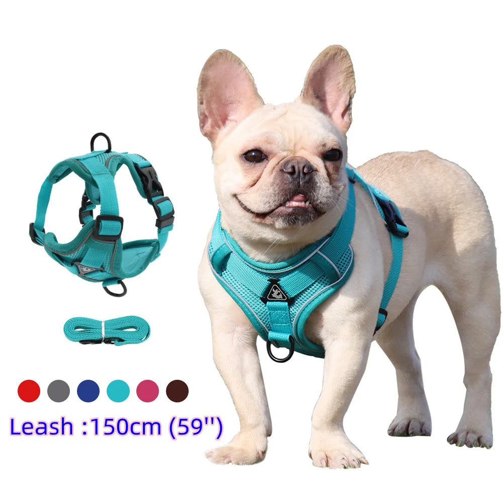 Harness and Leash for Small Dog