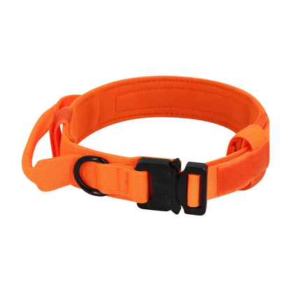Dog Training Collar Adjustable Tactical W/ Leash