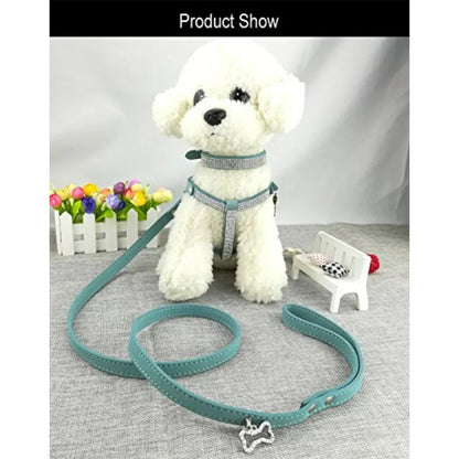 Dog Collar and Harness and Lead Sets