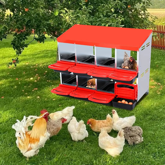 6/8/10 Holes Chicken Nesting Boxes Multi Compartments Metal Laying Boxes with Roll Out Egg Collection for Chickens Hens Ducks