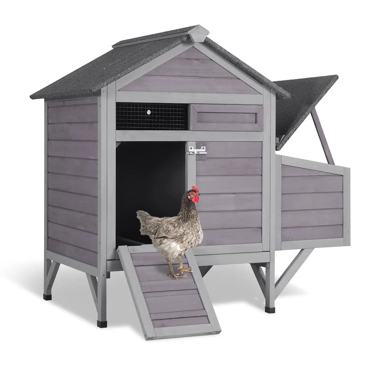 Chicken Coop for 2 Chickens/Ducks