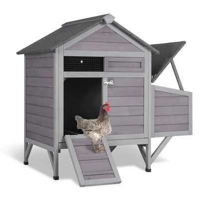 Chicken Coop for 2 Chickens/Ducks