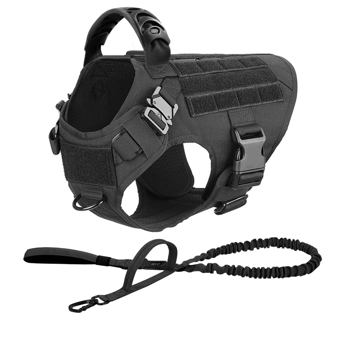 Large Dog Harness and Leash Set