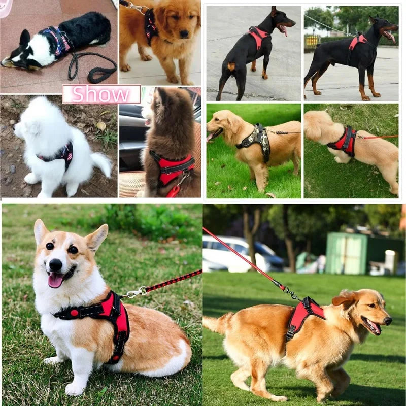 No-pull Strong Dog Harness Vest Harness for Dogs