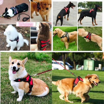 No-pull Strong Dog Harness Vest Harness for Dogs