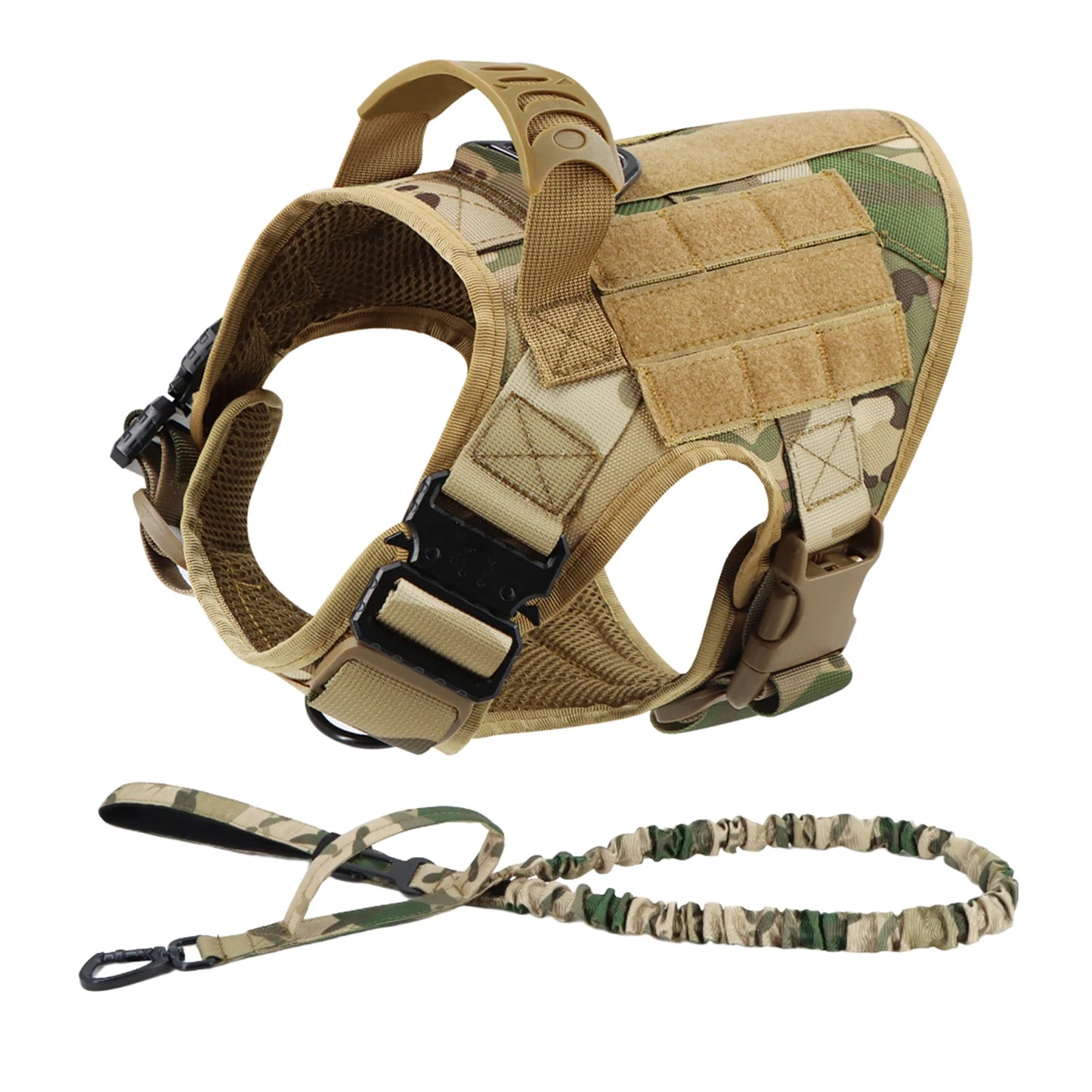 Large Dog Harness and Leash Set