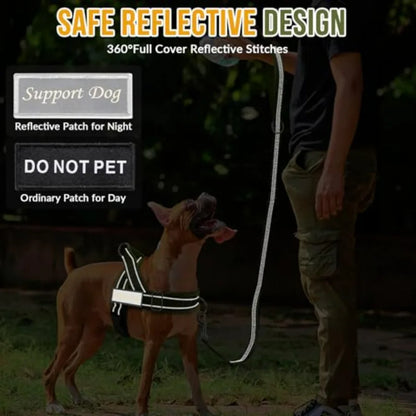 No Pull Dog Harness and Leash Set
