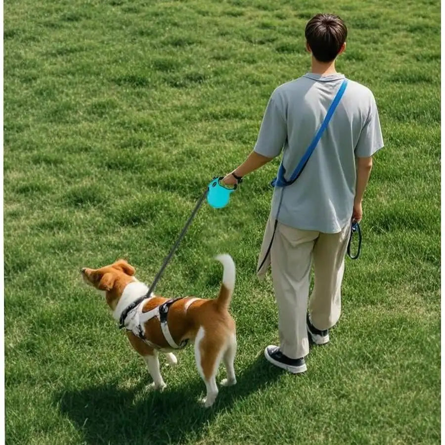 Retractable Dog Leash Length 16ft With Safety Lock
