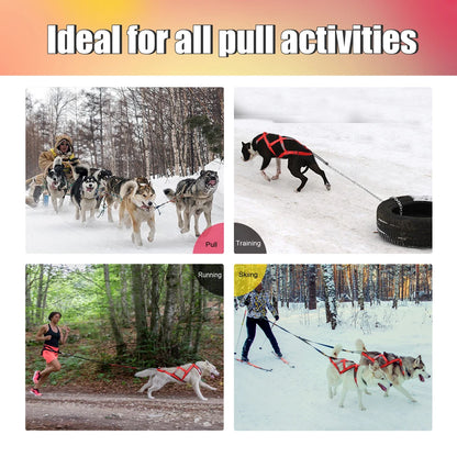 Dog Sledding Harness Reflective Weight Pulling Vest