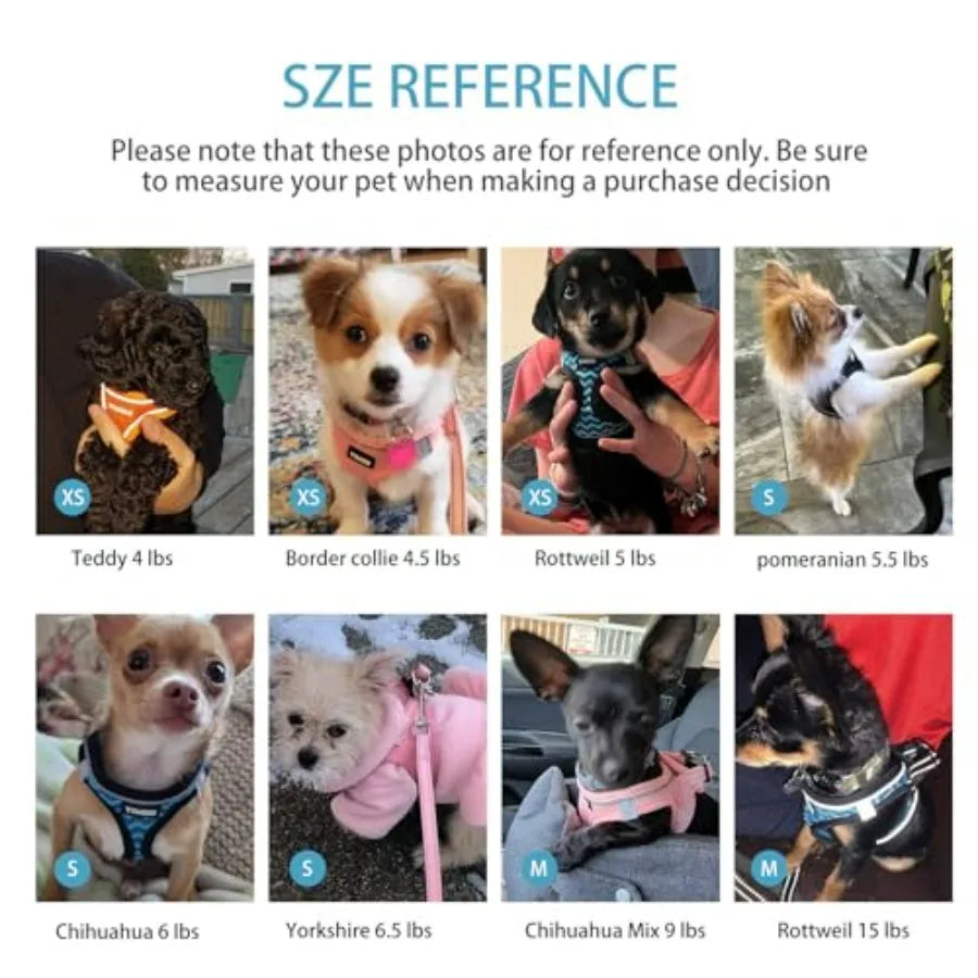 Dog Harness for Small Dogs and Leash Set,