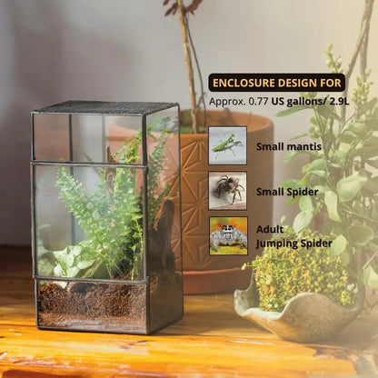 Black Glass Terrarium with Door and Mesh