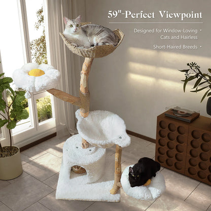 Cat Tree Tower, Wicker Basket Bed, Condo, Ball