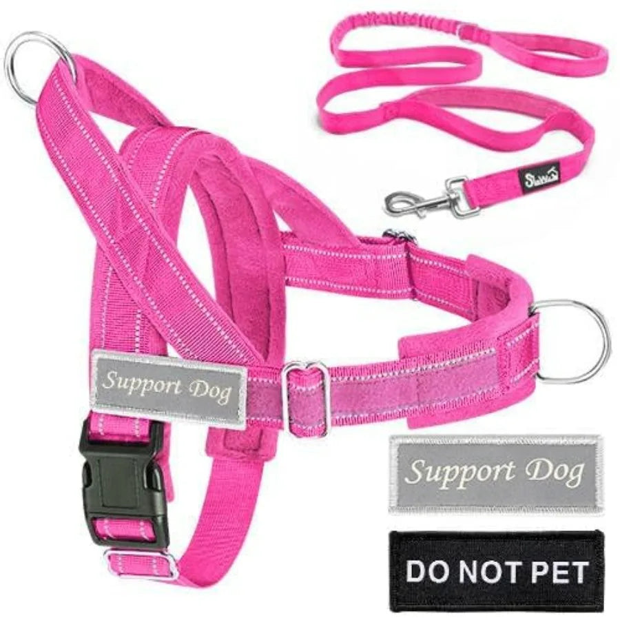 No Pull Dog Harness/ Leash Set