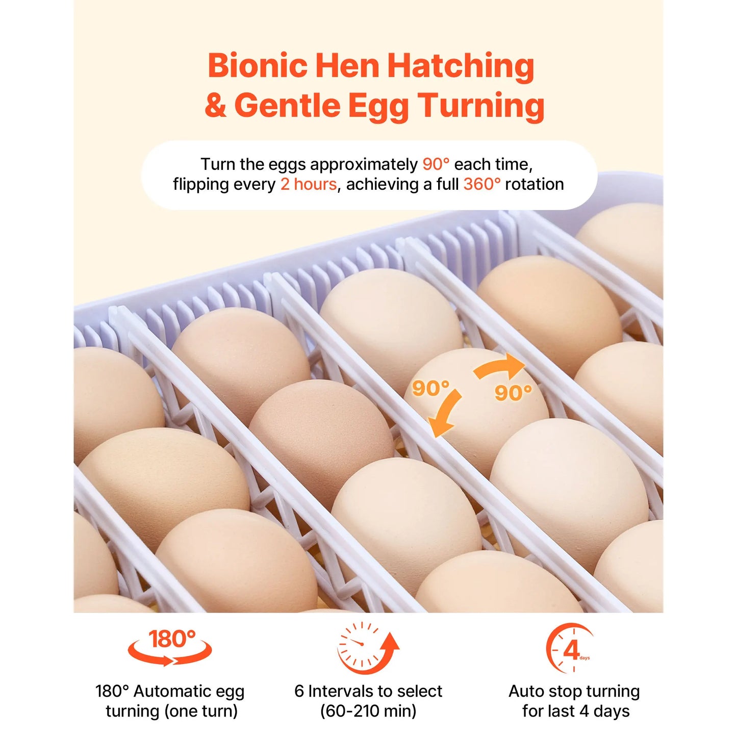 Egg Incubator with LED Candler Temperature Display