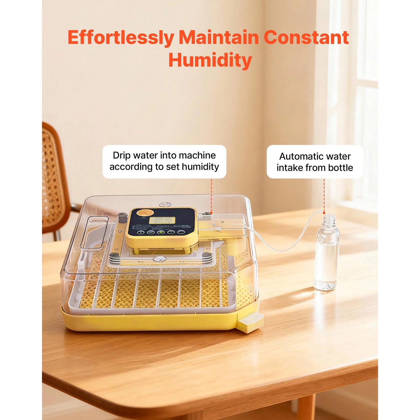 Egg Incubator with LED Candler Temperature Display
