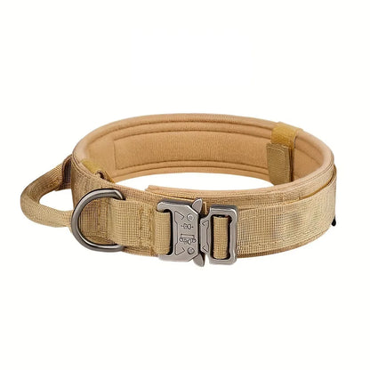 Dog Training Collar Adjustable Tactical W/ Leash