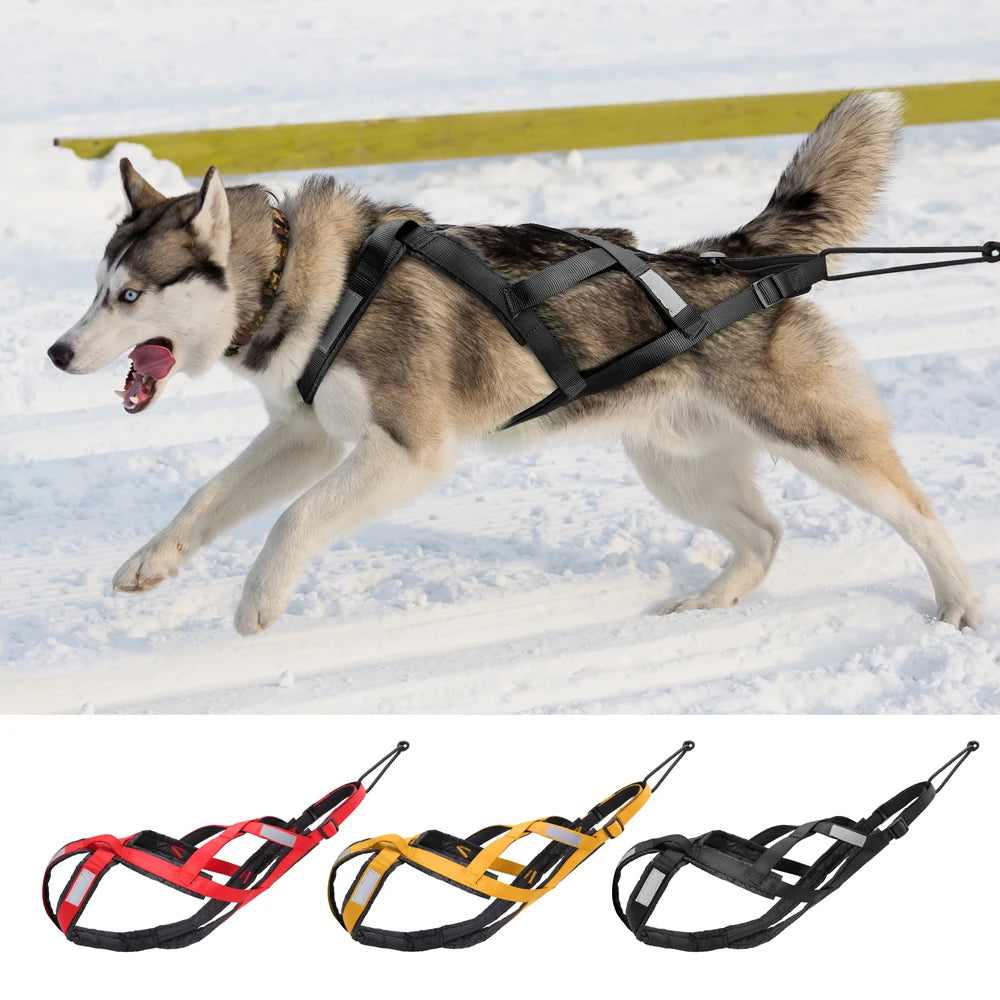 Dog Sledding Harness Reflective Weight Pulling Vest